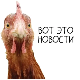 Стикер Окурительные стикеры - 1