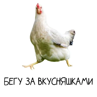 Стикер Окурительные стикеры - 6