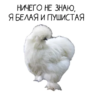 Стикер Окурительные стикеры - 5