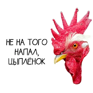 Стикер Окурительные стикеры - 11