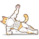 Sticker Chiffon the Cat (International) - 10