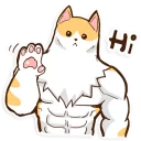 Sticker Chiffon the Cat (International) - 8