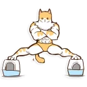 Sticker Chiffon the Cat (International) - 9