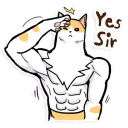 Sticker Chiffon the Cat (International) - 2