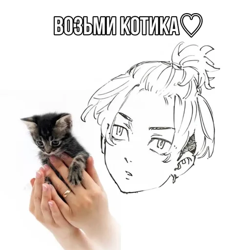 рисование эскиз кошка