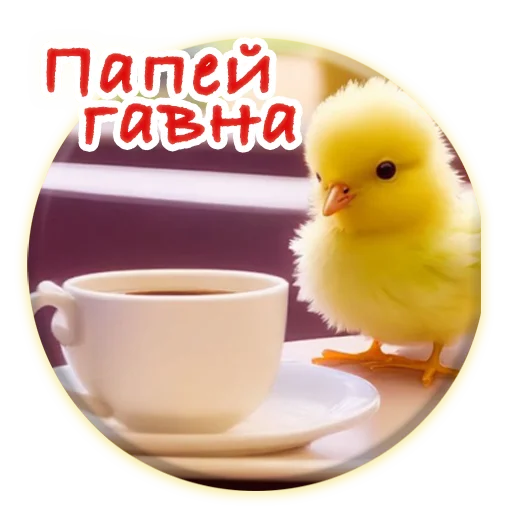 Стикер ChiknPack - 1