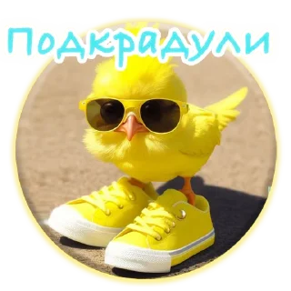 Sticker Crazy Chicken! @m_chicken - 1