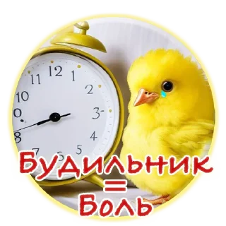 Sticker Crazy Chicken! @m_chicken - 10