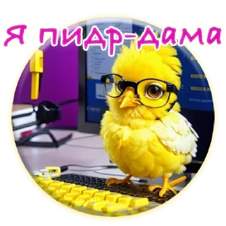 Sticker Crazy Chicken! @m_chicken - 2