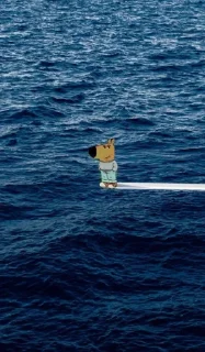 Sticker Chill guy yandme - 4