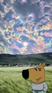 Sticker Chill guy yandme - 0