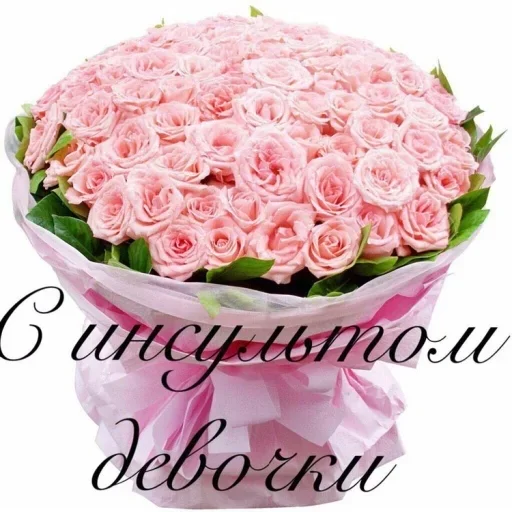 лепесток растение розовый