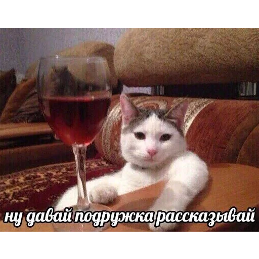 Sticker Chilllllllllp - 1