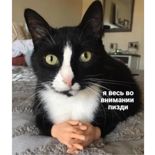 Sticker Chilllllllllp - 1