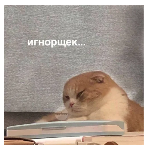 Sticker Chilllllllllp - 1