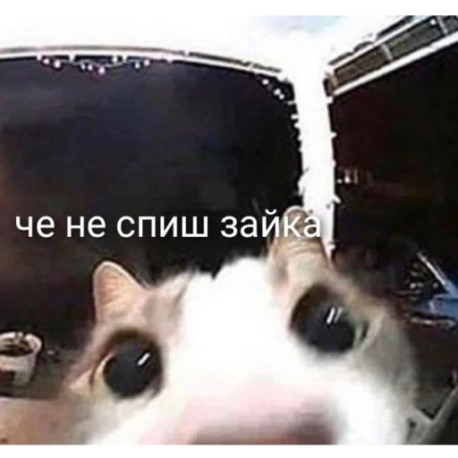 Sticker Chilllllllllp - 1