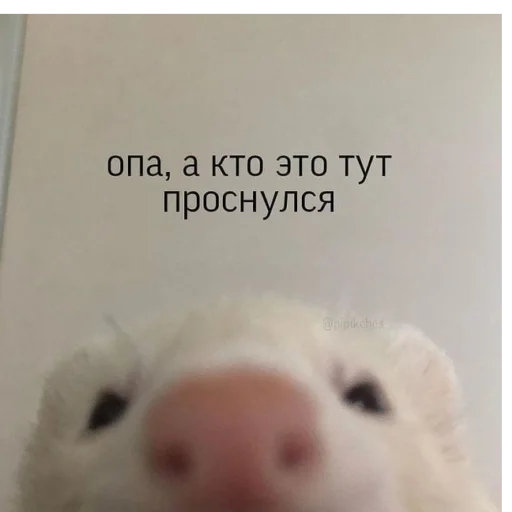 Sticker Chilllllllllp - 1