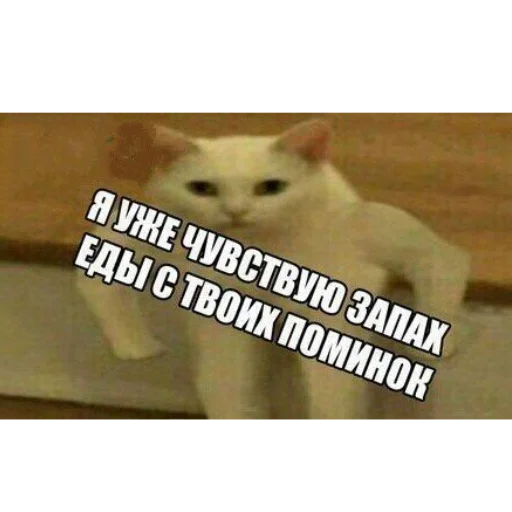 Sticker Chilllllllllp - 1