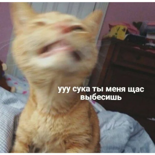 Sticker Chilllllllllp - 1