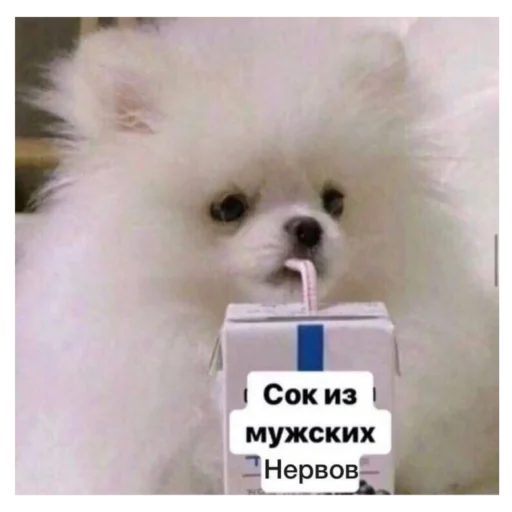 Sticker Chilllllllllp - 1