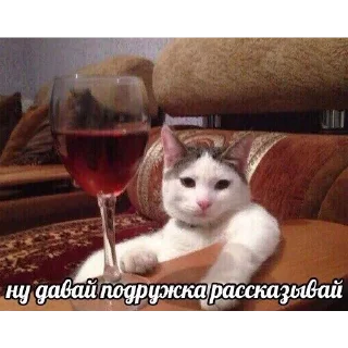 Sticker Хз как назвать - 11