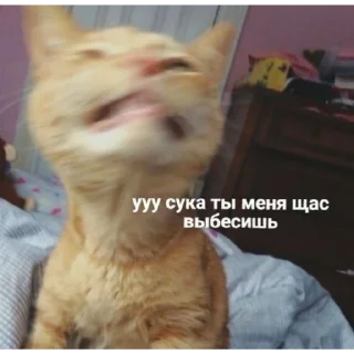 Sticker Хз как назвать - 1