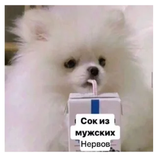 Sticker Хз как назвать - 0
