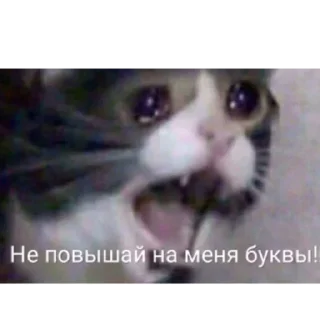 Sticker Хз как назвать - 10