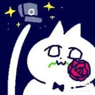 Sticker Funny Chinese Cat - 6