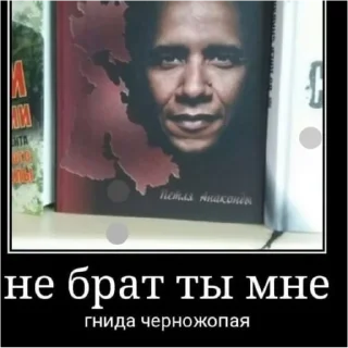 Sticker Popytrahana - 11