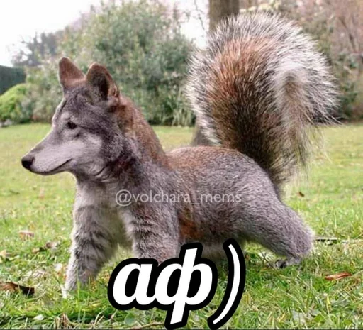 Стикер Пак by @fStikBot - 8