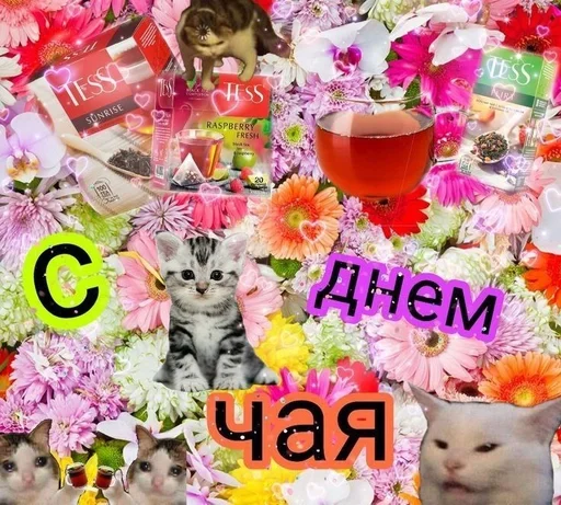 кошка цветочный дизайн Флористика