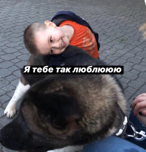 person dog dog breed