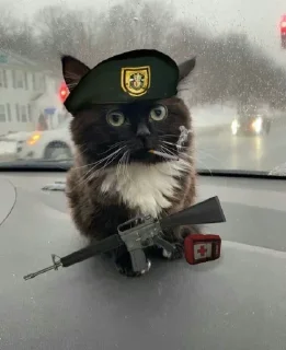 Стикер Чмоня от @sherst_memes - 2