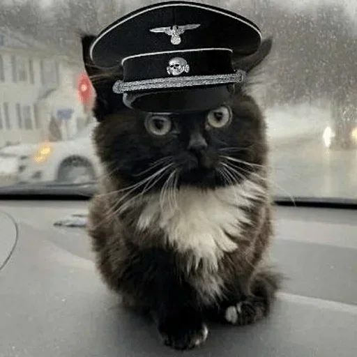 Чмоня от @sherst_memes - 