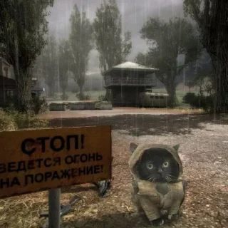 Стикер Чмоня от @sherst_memes - 5