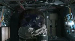 Стикер Чмоня от @sherst_memes - 11