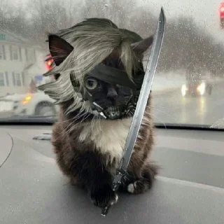 Стикер Чмоня от @sherst_memes - 0