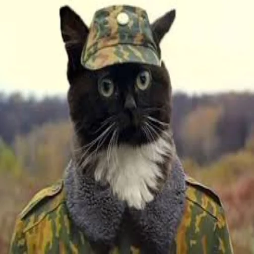 Стикер Чмоня - маленький русский кот - 10