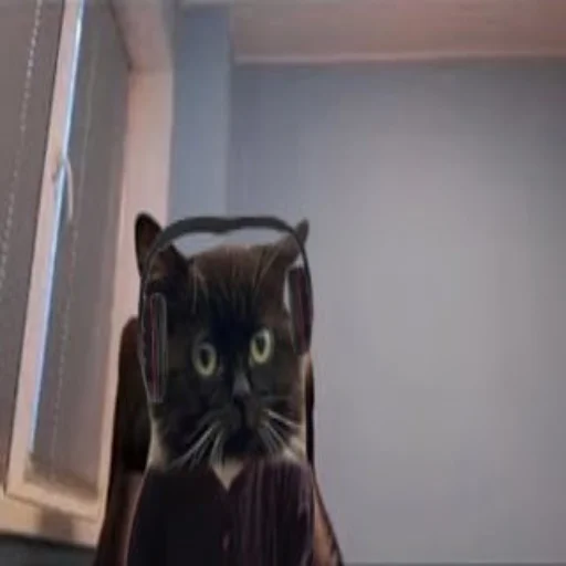 Стикер Чмоня - маленький русский кот - 6