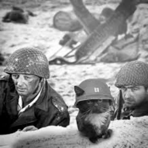 Стикер Чмоня - маленький русский кот - 5