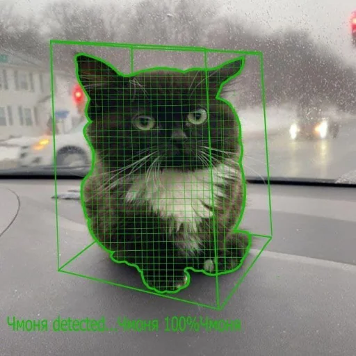 Стикер Чмоня - маленький русский кот - 3