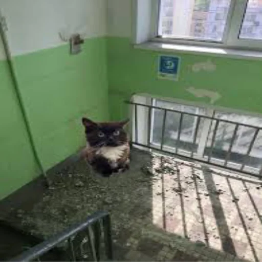 Стикер Чмоня - маленький русский кот - 2