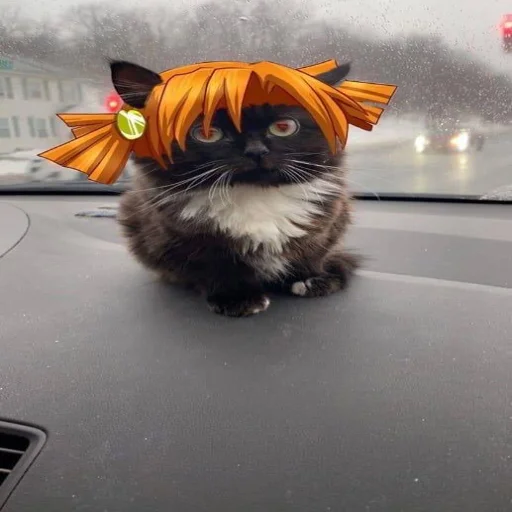 Стикер Чмоня - маленький русский кот - 1