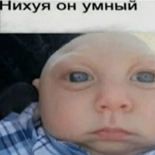 Sticker Chochoblya - 1