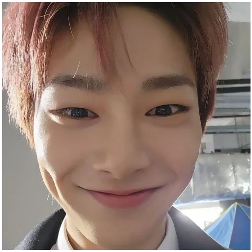 Sticker ChoniniINOfficial - 1