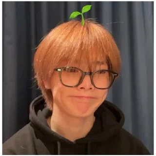 Sticker чонини @I_N_official - 8