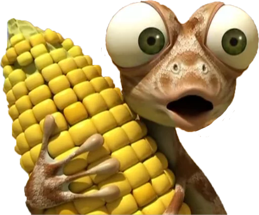 кукуруза кукуруза на початках кукуруза