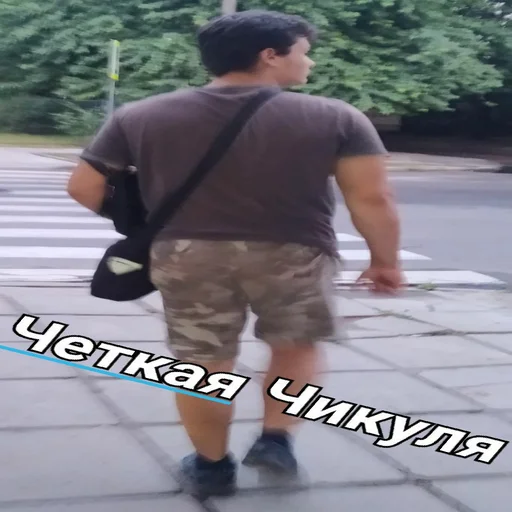 Чотка чика - 