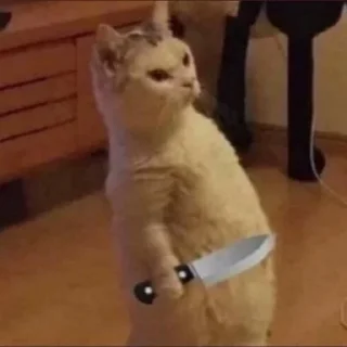 Sticker Шото типа котиков - 7